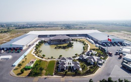 AAA: Năm 2019, LNST tăng 136.5%, dòng tiền hoạt động kinh doanh cao nhất lịch sử dù phải thu tăng mạnh