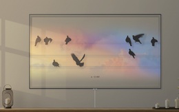 Đây là món đồ có thể "lột xác" căn phòng khách trong năm mới 2020