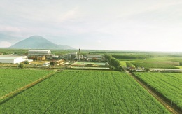 SBT - chính thức ký kết hợp tác với nhà đầu tư chiến lược Hàn Quốc thông qua việc phát hành trái phiếu chuyển đổi đợt đầu