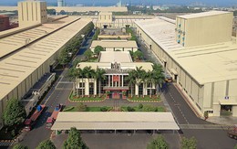 Đột nhập nhà máy, xem quy trình để thấy vì sao tôn siêu bền Hoa Sen Gold là lựa chọn vàng bảo vệ mái ấm của bạn