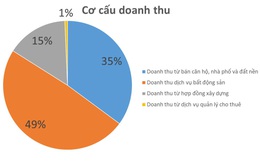 DXG: Năm 2019 lãi 1.217 tỷ đồng, doanh thu từ bán căn hộ tăng 22% so với cùng kỳ
