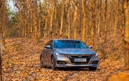 Roadtrip gia đình trên một chiếc xe sedan, tại sao không?