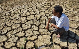 Dịch bệnh và sự “khốc liệt” của thiên nhiên đẩy người dân ĐBSCL khó khăn chồng chất