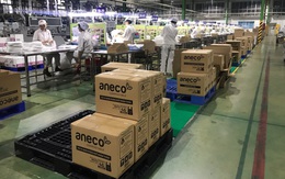 Bước đi chiến lược của Tập đoàn An Phát Holdings