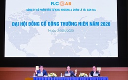 ĐHĐCĐ FLC GAB thông qua sáp nhập FLC STONE và FLC FAROS, mục tiêu lợi nhuận 2020 tăng 50%