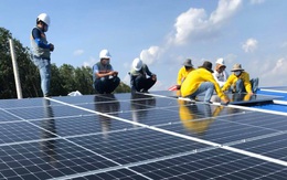 Alena là đại lý phân phối chính thức pin mặt trời LONGi ở Việt Nam