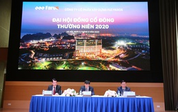 ĐHĐCĐ FLC Faros thông qua chủ trương sáp nhập vào FLC GAB, tái cấu trúc toàn diện trong năm 2020