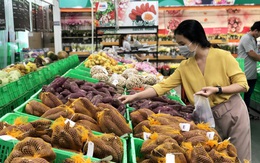 MM Mega Market Việt Nam đặt mục tiêu xuất khẩu 6000 tấn nông sản Việt trong năm 2020