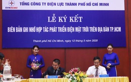 Chính phủ và EVN: khuyến khích phát triển điện mặt trời