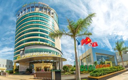 DLG: Doanh thu 2019 sau kiểm toán đạt hơn 2.873 tỷ đồng