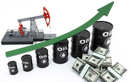 Giá dầu đảo chiều tăng gần 6% sau ngày giảm lịch sử