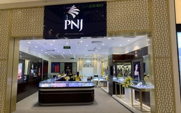 PNJ dự kiến mở thêm 31 cửa hàng, đặt kế hoạch lợi nhuận tăng trưởng 13% trong năm 2020