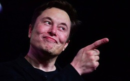 Elon Musk: Đại học chỉ... cho vui, không phải để học, có bằng không chứng minh bạn "năng lực hơn người"