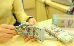 Chuyên gia hiến kế: Việt Nam có thể cân nhắc vận động hoán đổi tiền tệ với Mỹ