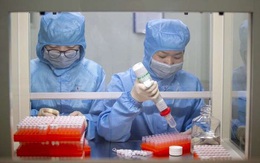 Thêm 9 ca nhiễm mới, Việt Nam ghi nhận 188 trường hợp mắc COVID-19
