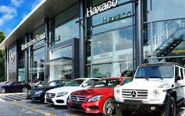Haxaco bán 2.500 xe Mercedes trong năm 2019, lãi ròng bình quân chỉ hơn 20 triệu đồng mỗi chiếc