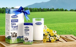 Sau nhiều lần đăng ký, F&N Dairy vừa mua thêm được 6 triệu cổ phần Vinamilk