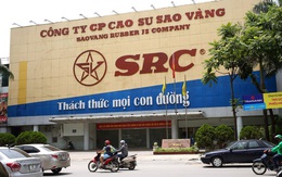 Cao su Sao Vàng cùng với Hoành Sơn thành lập công ty vốn 500 tỷ đồng