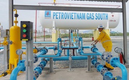 PV GAS South (PGS) mua lại công ty vốn trăm tỷ với giá chỉ 1.000 đồng, phủ quyết phương án PV GAS tăng sở hữu