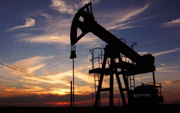 Giá dầu lao dốc tạo ra một cú sốc mới cho thế giới đang bị tê liệt bởi Covid-19