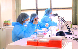 Hơn 3.100 mẫu xét nghiệm ở thôn Hạ Lôi âm tính với virus SARS-CoV-2