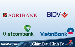 Phó Thống đốc Đào Minh Tú: Lợi nhuận năm 2020 của BIDV, Vietcombank, VietinBank, Agribank phải giảm ít nhất 40% để hạ lãi suất hỗ trợ doanh nghiệp