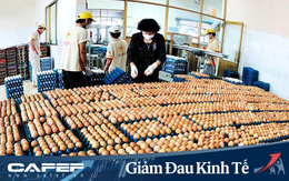 Doanh nghiệp trứng gà Ba Huân mất kênh bán hàng ở trường học, nhà hàng nhưng tăng ở siêu thị, 800 nhân viên vừa lo làm vừa lo chống dịch