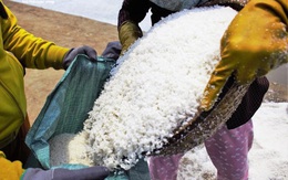 Bán 50kg muối chỉ đủ mua 2kg gạo, diêm dân Sa Huỳnh khóc ròng