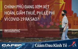 [Infographic] Những loại thuế, phí, lệ phí nào đang được Chính phủ xem xét hoãn, giảm vì Covid-19?