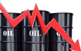 Thị trường ngày 22/4: Giá dầu lao dốc 43%, đường thấp nhất 12 năm
