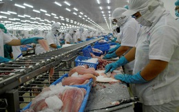 VASEP: Xuất khẩu cá tra sang ASEAN chờ hồi sinh sau dịch Covid-19