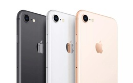 iPhone SE 2020 mới về Việt Nam giá đã giảm mạnh, chỉ từ 10,9 triệu đồng