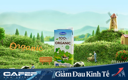 Vinamilk đạt tăng trưởng doanh thu ngay trong dịch bệnh Covid-19