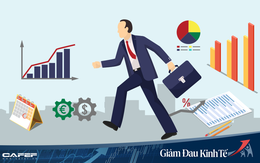 [Infographic] Chính phủ đã "giảm đau" nền kinh tế trước Covid-19 như thế nào?