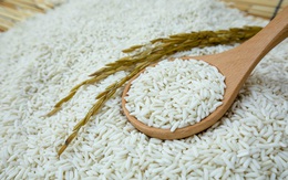 Long An kiến nghị cho xuất khẩu gạo nếp không giới hạn số lượng