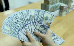 Tỷ giá VND/USD bất ngờ tăng mạnh trở lại