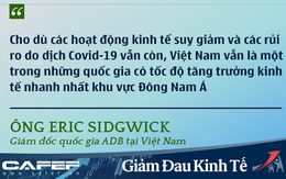 Các chuyên gia kinh tế nói gì về kinh tế Việt Nam thời dịch Covid-19?