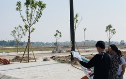 Thành lập 3 thị xã tại Thanh Hóa, Bình Định, Phú Yên, liệu có xảy ra nguy cơ sốt đất nền cục bộ?