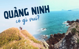 Ngoài các điểm tham quan miễn phí, Quảng Ninh còn vô vàn địa danh tuyệt đẹp không đi thì cực phí: Muốn biển có biển, muốn núi có núi!