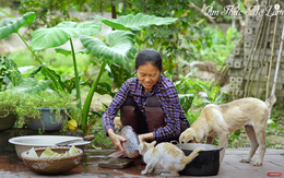 Kênh YouTube "Ẩm thực mẹ làm" của bà mẹ nông dân người Việt được chính YouTube giới thiệu với cộng đồng quốc tế