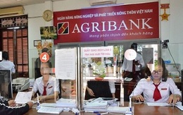 Ủy ban Kinh tế nói gì về việc tăng vốn cho Agribank?