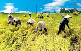 Ngành nông nghiệp được dự báo hưởng lợi lớn nhất từ Hiệp định EVFTA