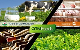 GTNfoods (GTN): LNST quý 1 đạt 40 tỷ đồng cao gấp 2,3 lần cùng kỳ