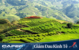 Kích cầu nội địa: Các công ty 789bet có uy tín không lên kế hoạch khuyến mại hấp dẫn để hâm nóng lại thị trường