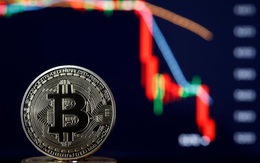 Bitcoin “ăn may” giữa khủng hoảng, có nên mua vào?