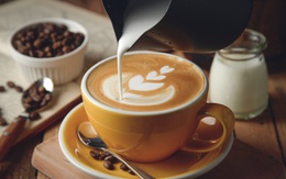 Vinamilk tính mở chuỗi cà phê Hi-Café