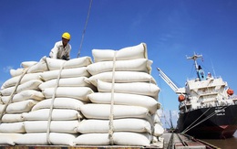 Việt Nam trúng thầu cung cấp 30.000 tấn gạo trắng cho Philippines