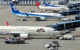 Nikkei: Chuyến bay thuê bao cho 250 doanh nhân từ Nhật Bản sang Việt Nam sẽ được khởi hành vào cuối tháng 6