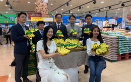 Lần đầu tiên trái chuối Việt được bán ở siêu thị Hàn Quốc