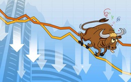 VnIndex tăng mạnh mẽ 28 điểm, những nhà đầu tư bán cổ phiếu hôm qua tiếc nuối